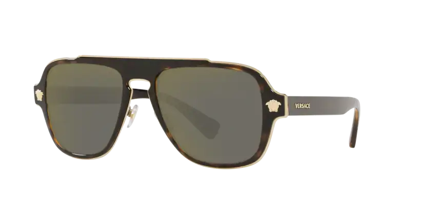 Versace 0VE2199 stylish sunglasses featuring a tortoiseshell frame and gradient lenses for a chic look.