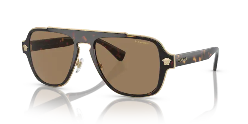 Versace 0VE2199 sunglasses with tortoiseshell frame and brown lenses, stylish eyewear for a chic look.